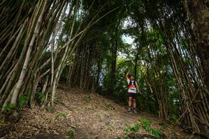 BIB: 
                            <button type="button" onclick="openModal(19396101)" class="btn btn-primary btn-sm float-right btn-popup" data-toggle="modal" data-target=".modal-high-quality">
                        <i class="fas fa-shopping-cart"></i> Add to Cart
                    </button>
                                            <button type="button" onclick="isThisMe(19396101, true)" class="btn btn-success btn-sm float-right btn-popup btn-isme hidden" data-toggle="tooltip" data-placement="bottom" title="นี่คือรูปของคุณใช่ไหม คลิกที่นี่เพื่อเอาเข้าอัลบั้ม">
                        <i class="fas fa-plus"></i> Add to album
                    </button>
                    <button type="button" onclick="isThisMe(19396101, false)" class="btn btn-warning btn-sm float-right btn-popup btn-isnotme hidden">
                        <i class="fas fa-ban"></i> Remove from album
                    </button>